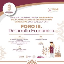 Desarrollo Económico