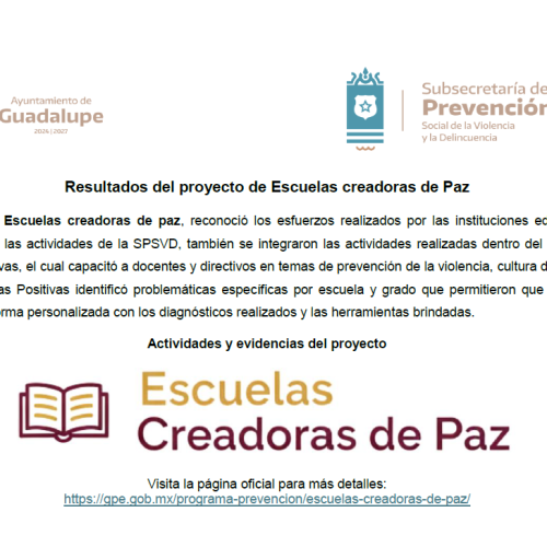 Escuelas por la paz resultados
